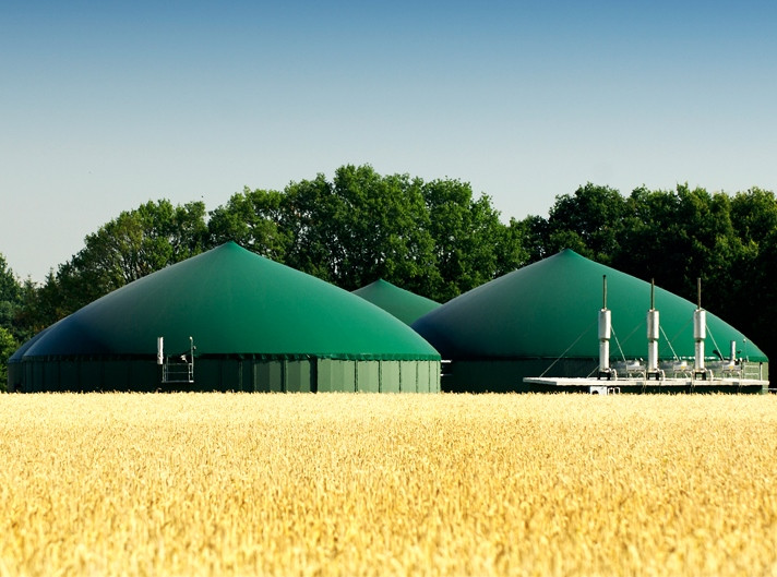 Агропродсервис готовится построить один-два биогазовых комплекса