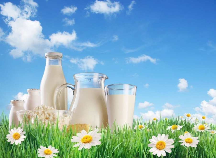 Производитель молочки ТМ Пирятин и ТМ Яготинское вложит $15 млн. в новые продукты