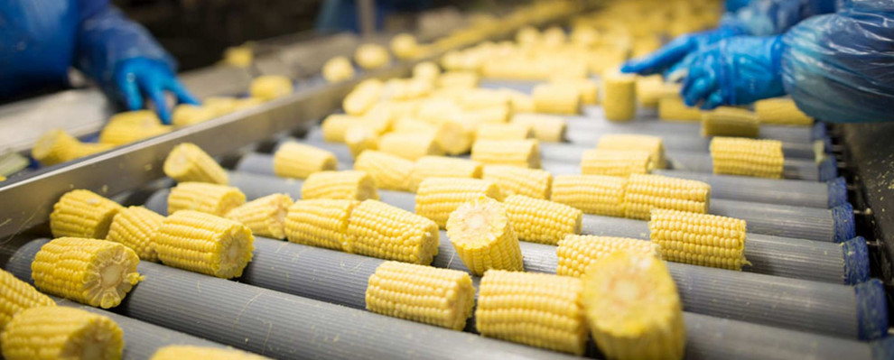 Анализ мирового рынка продуктов глубокой переработки кукурузы