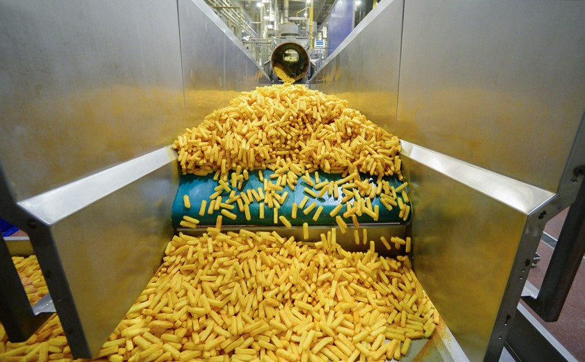 Potato Agro запустит в Украине завод по производству картофеля фри