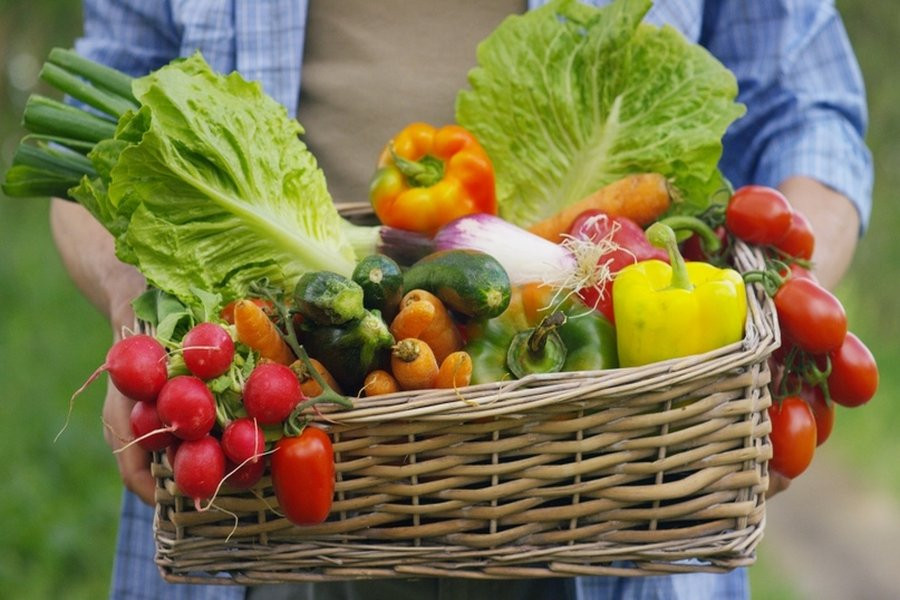 Доставка овощей OVO привлекла ангельские инвестиции Fedoriv Group