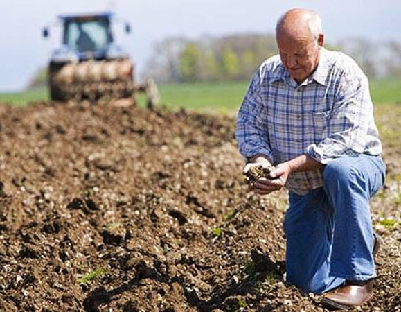 В Украине создадут Фонд частичного гарантирования кредитов для аграриев