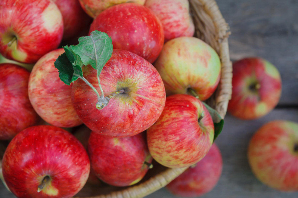 Яблоки стали самым востребованным фруктом в мире