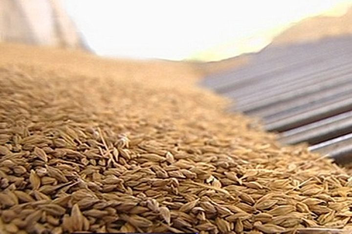 МСП «Ника-Тера» построит новый зерновой комплекс на 140 тыс. т