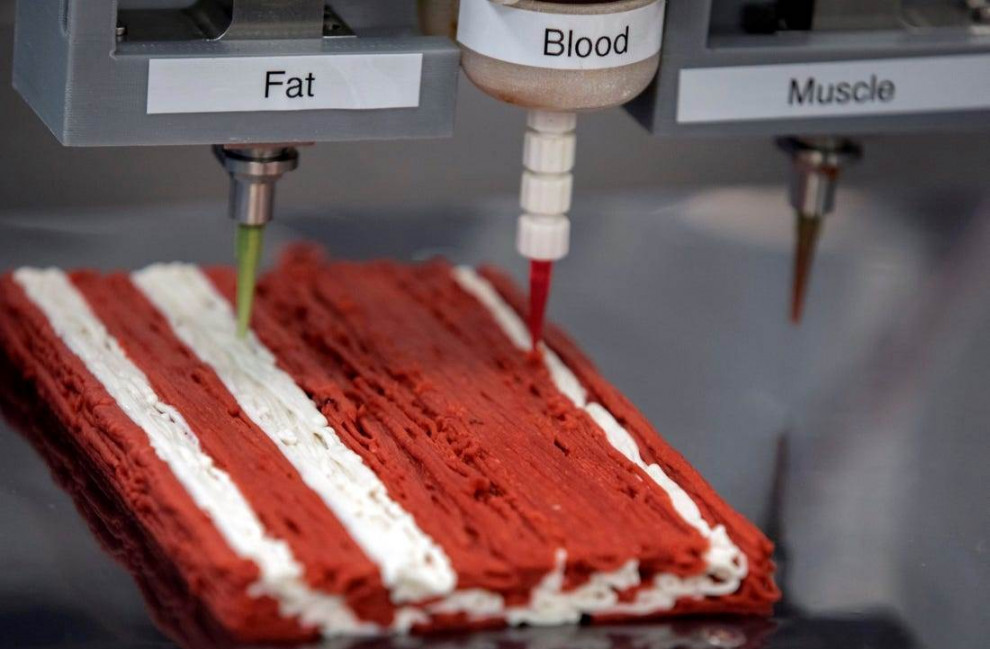 Израильский стартап Redefine Meat привлек $29 млн на 3D-печать заменителей мяса