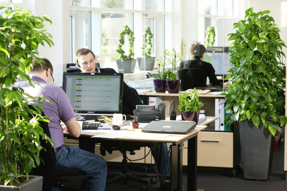 Украинский стартап Livee, озеленяющий офисы, привлек $250 тыс