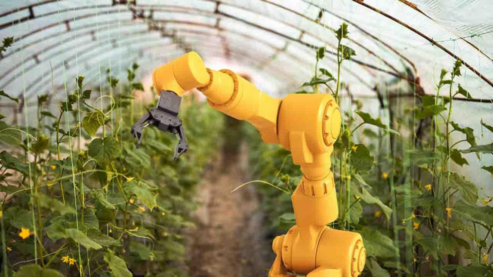 В Австралии откроют полностью роботизированную ферму за $20 млн