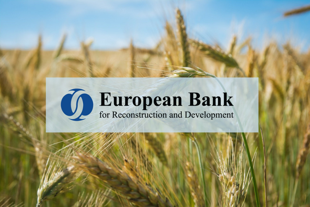 ЕБРР поддержит кредитом на €53 млн продовольственную безопасность в Украине
