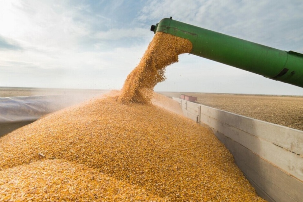 USAID, Grain Alliance, Кернел та Нібулон інвестують $44 млн в експортну логістику