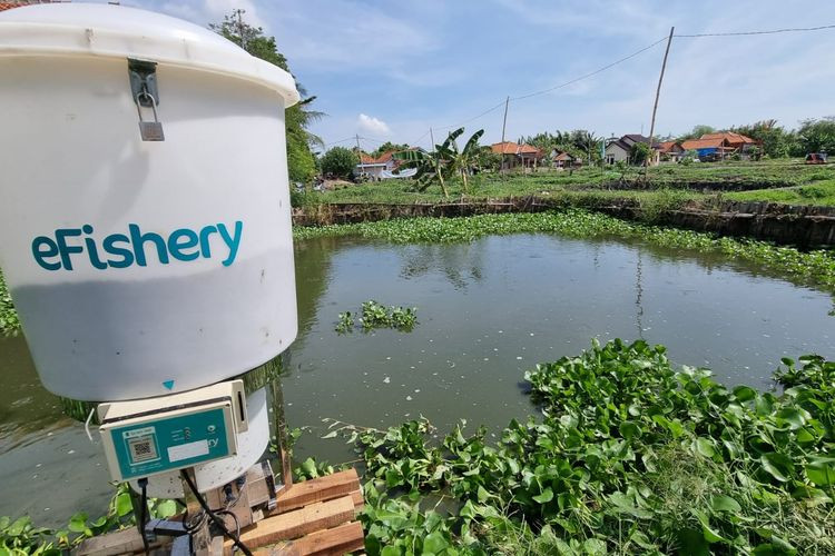 Індонезійський аквакультурний стартап eFishery залучив $200 млн і став єдинорогом