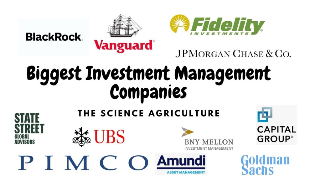 Крупнейшие инвестиционные компании мира: кому доверяют управление капиталом