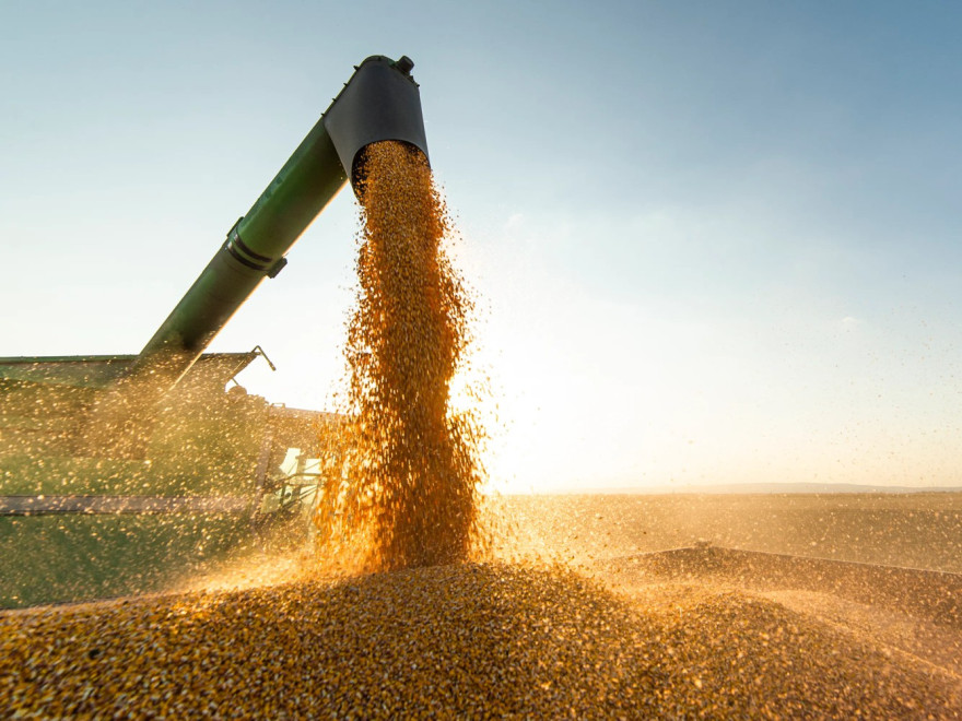 Мировые зернотрейдеры Viterra и Bunge ведут переговоры о слиянии