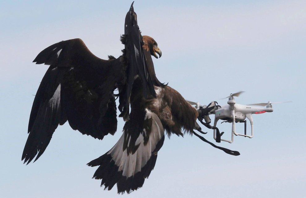 Stimulation of military tech in action: hunters of "Shahed drones" will receive $1 million