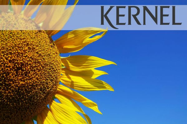 Andrii Verevskyi announces buyout of Kernel