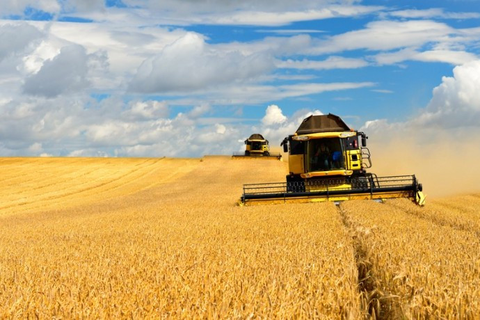USAID выделит $250 млн для украинских фермеров
