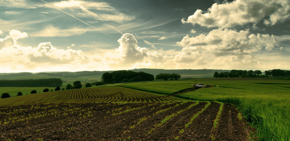 Чи варто купувати сільськогосподарську землю в Україні