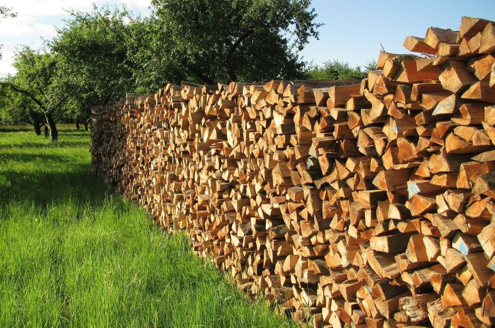 Леса Украины продали наследие лесхозов на 10 млн грн