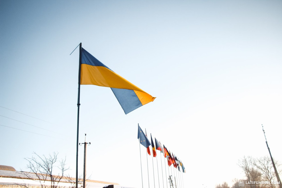 Какие отрасли наиболее привлекательны для иностранных инвесторов в Украине