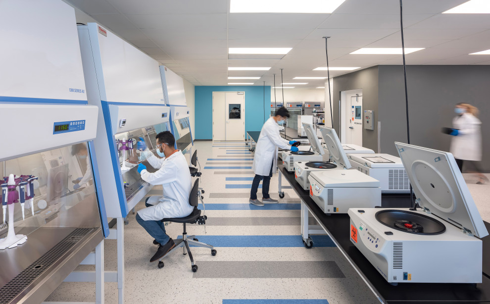 Американская биотех-компания BillionToOne выросла до $4,4 млрд после успешного IPO на Nasdaq