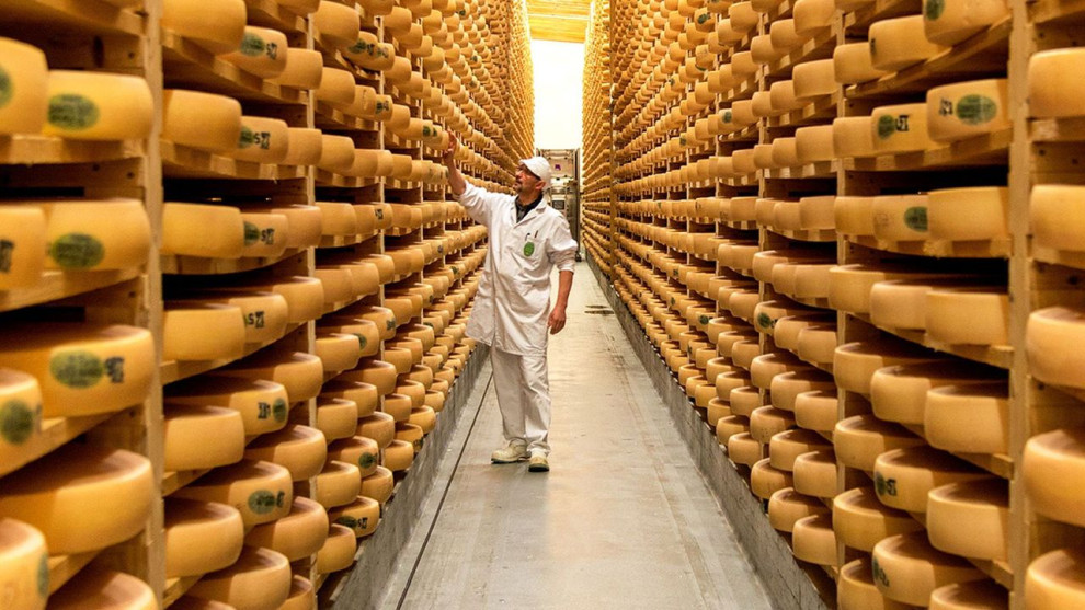 Agroprodservice and Molokia to Invest in a New Hard Cheese Production Plant