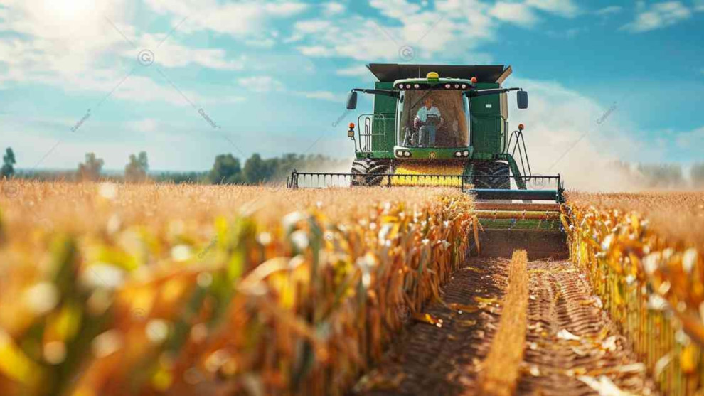 На Дніпропетровщині виставлено на продаж агропідприємство 5 500 га з поливними землями за $13 млн