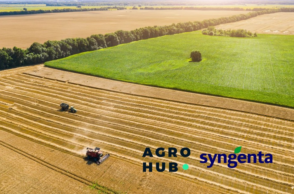 Global Agro Benchmark 2025: Україна демонструє найвищу врожайність серед ключових аграрних експортерів — дослідження Agrohub