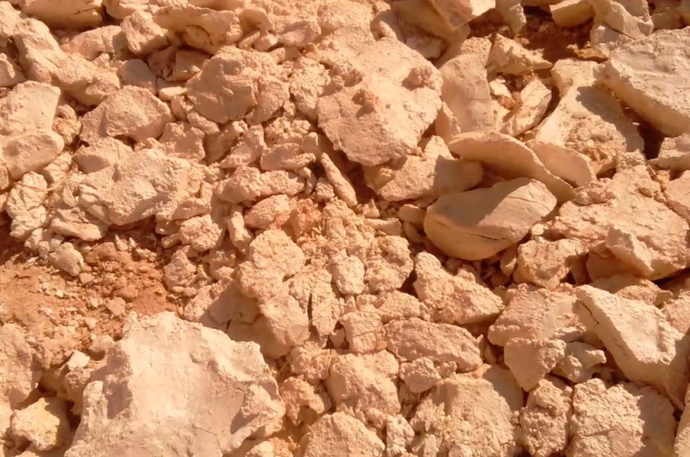 Компания Ахметова купила лицензию на добычу глины в Закарпатье за 10 млн грн