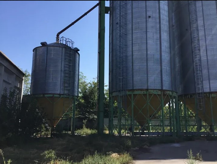 Під Києвом виставили на приватизацію майже готовий мукомельний комплекс за 13,8 млн грн