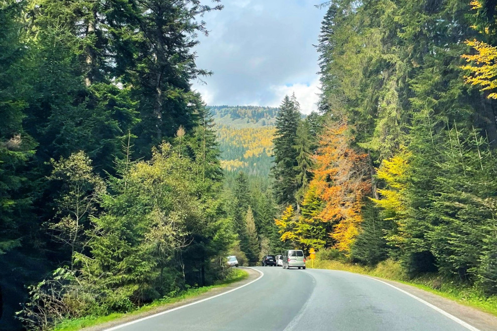 У Карпатах збудують нову автомобільну дорогу до Буковелю за 6,6 млрд грн