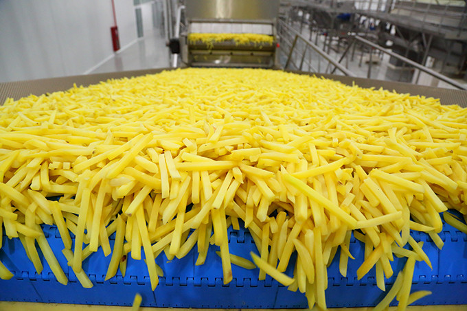 Потейто Агро екс-нардепа Сергія Терещука будує завод із виробництва картоплі фрі за $110 млн