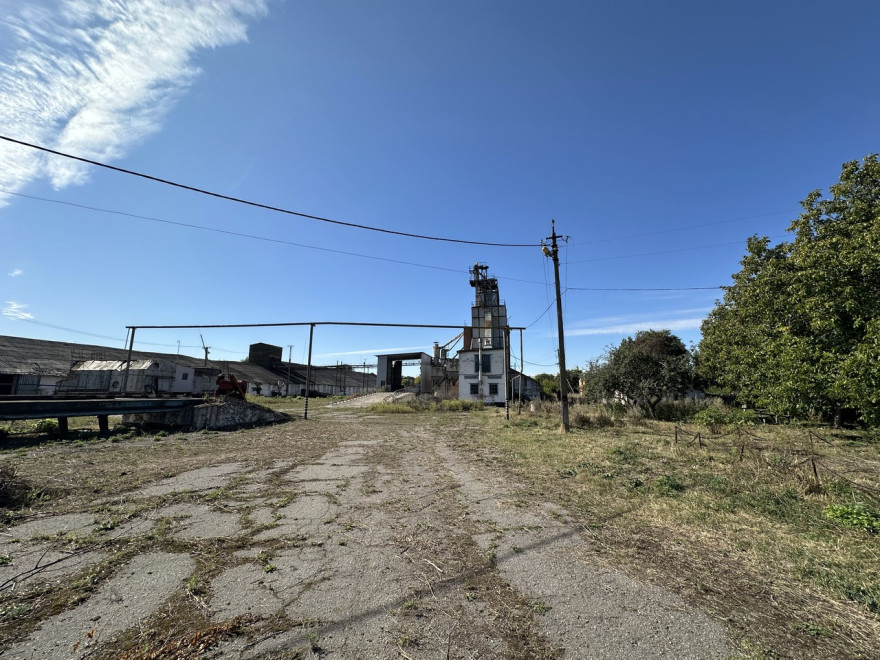 У Полтавській області на продаж виставлено елеватор підлогового зберігання на 48 000 тонн