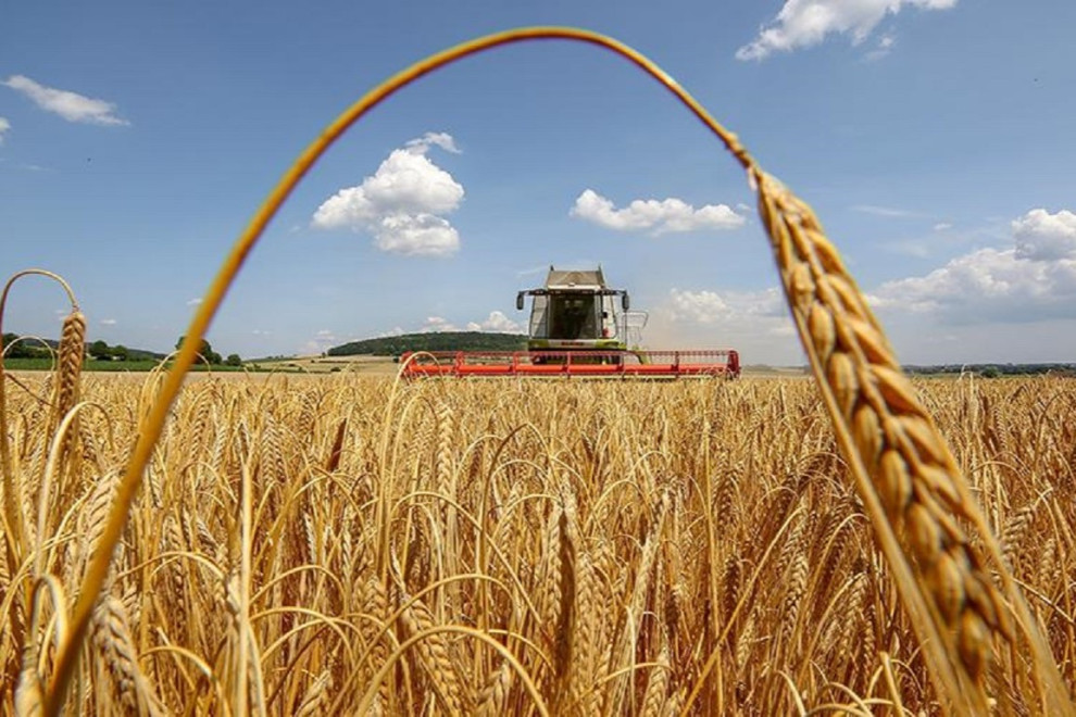 Diligent Capital Partners и 2ndAries создают фонд на €150 млн для поддержки украинского агросектора