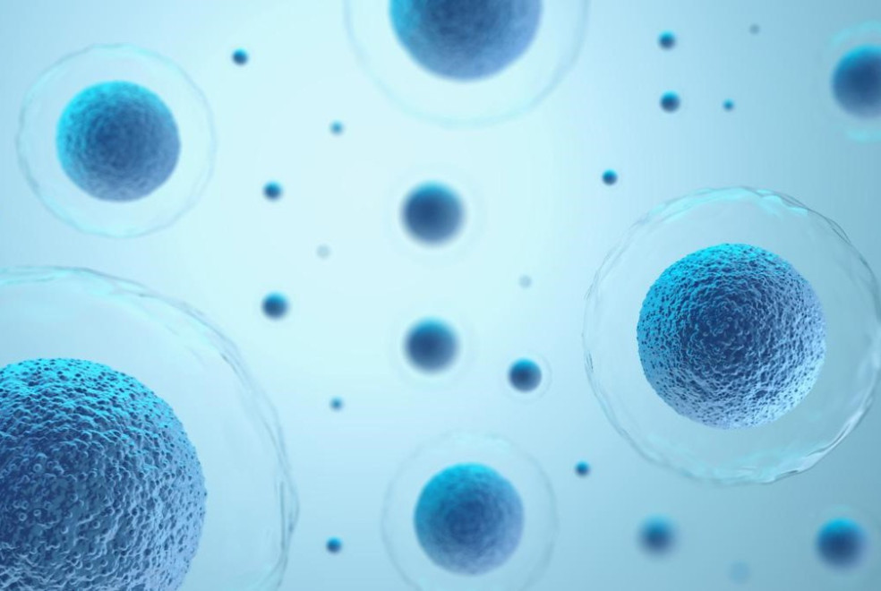 Американская Eli Lilly купит производителя противораковой терапии Kelonia Therapeutics за $2 млрд