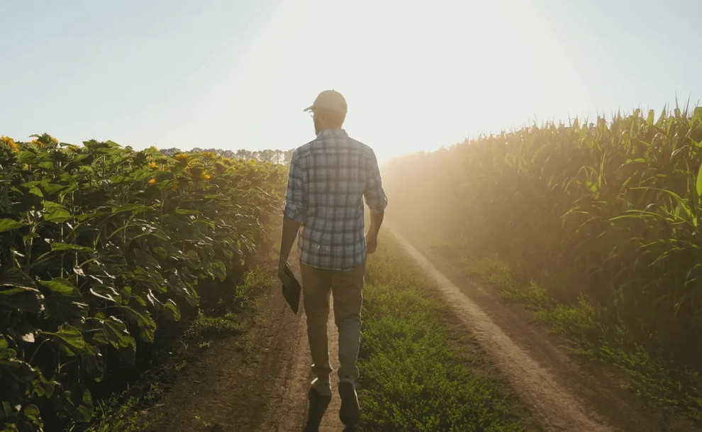 ТОП-100 крупнейшие агрохолдинги Украины по размеру земельного банка