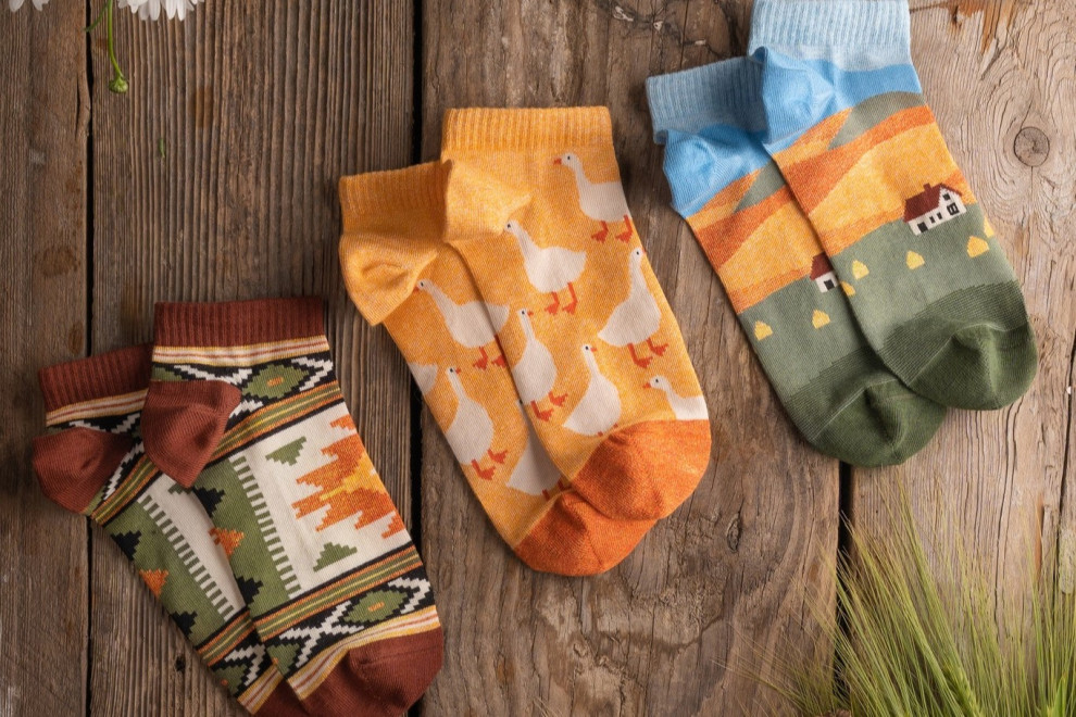 Украинский бренд носков Dodo Socks инвестировал до $145 тыс. в запуск магазина в Японии