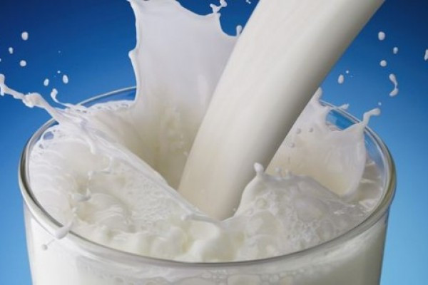Компания "Терра Фуд" планирует купить молочный завод у "Молочный альянс"