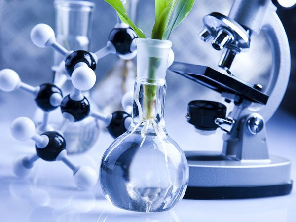 The global biotechnology market research