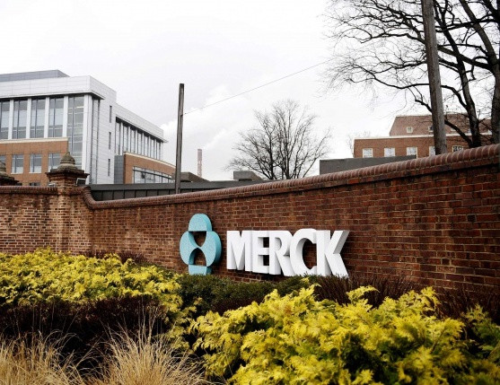 Merck заключила сделку по покупке Idenix Pharmaceuticals и будет лечить гепатит С