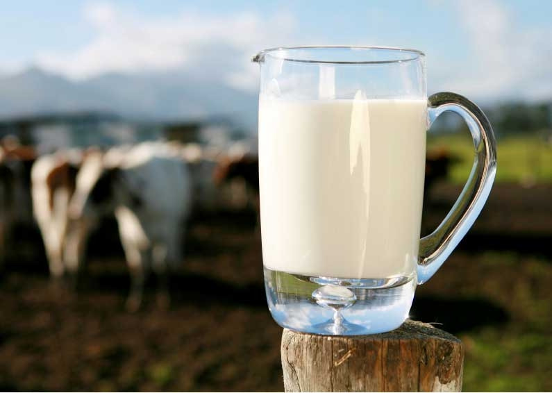 Рынок молока и молочных продуктов Украины