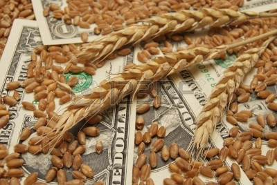 Инвестиционная привлекательность рынка пшеницы