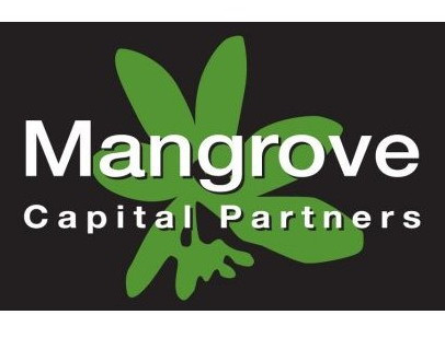 Венчурный фонд Mangrove Capital Partners заморозил проекты в России