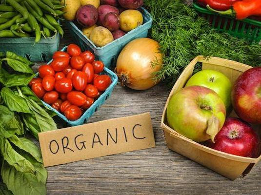 Investors from Denmark to invest in organic farming in Ukraine