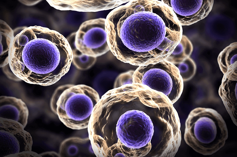 Стоит ли инвестировать в сферу лечения стволовыми клетками? 
