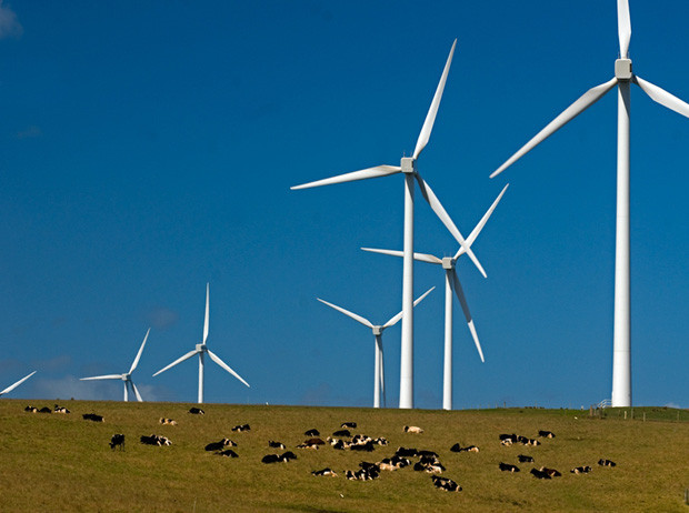 General Electric строит крупнейшую в Австралии ветровую электростанцию