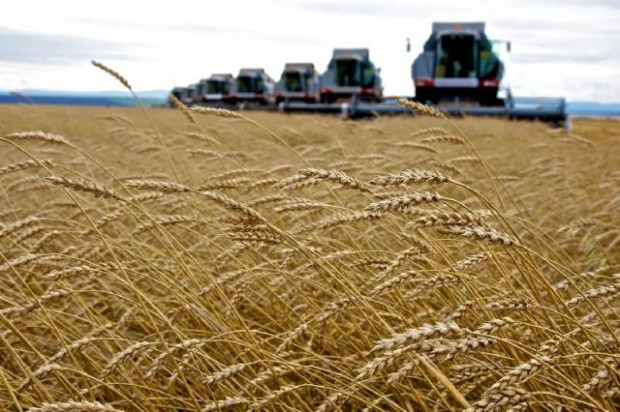В первом полугодии аграрии недополучили 17 млрд. грн. инвестиций