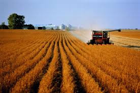 Отток прямых иностранных инвестиций в сельское хозяйство Украины составил 104,1 млн. долл.