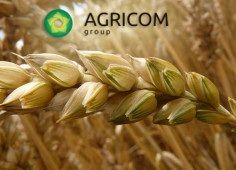 Cyprus Armpitch Holdings to buy blocking stake of domestic Agricom Group