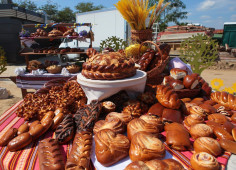 Кулиничи инвестирует 20 млн евро в строительство хлебопекарного завода на Львовщине