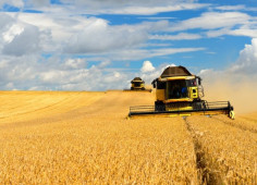 USAID виділить $250 млн для українських фермерів