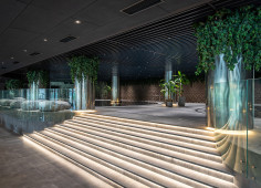 The Emily Resort pool received the PHTA International Awards of Excellence Winners 2023